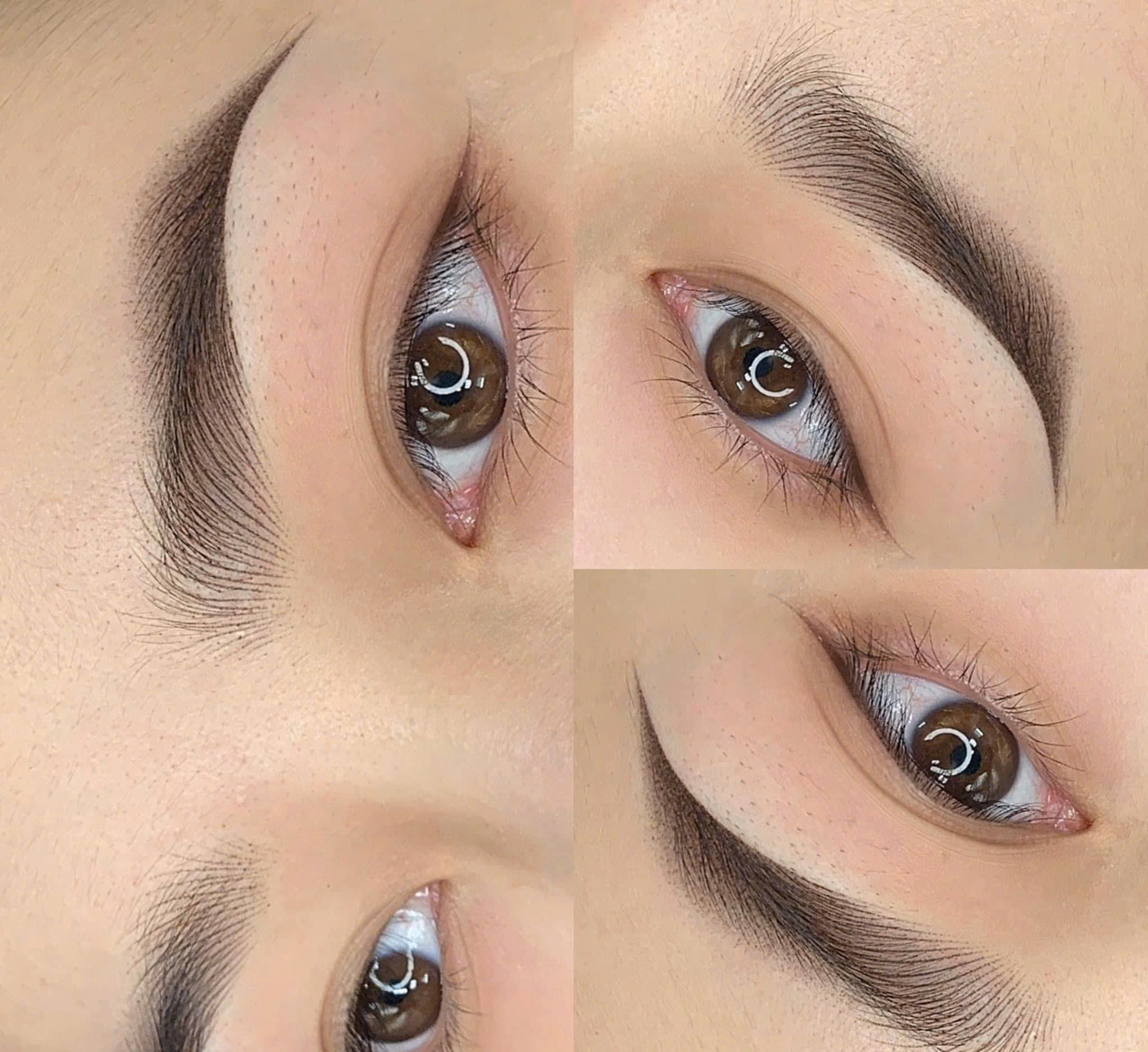 111147805671345238416