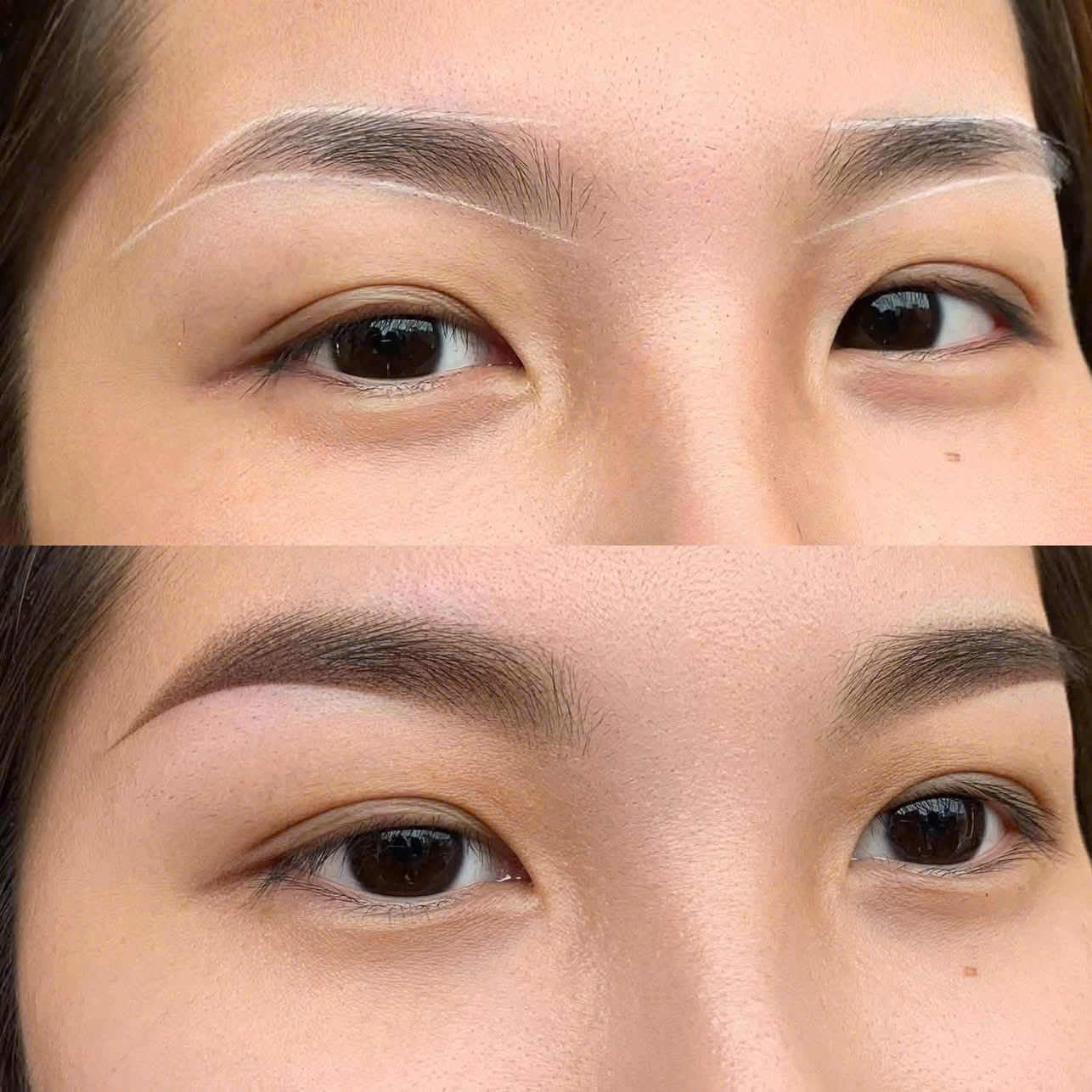 18310147764886515481