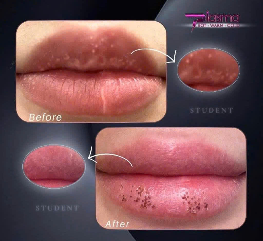 24487137059361833637