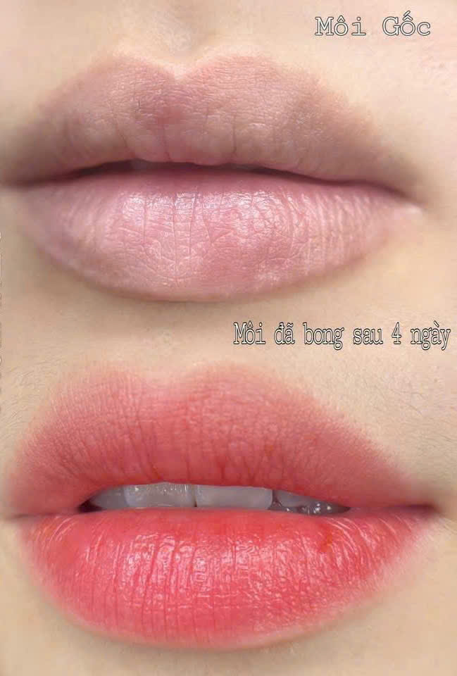 27530074510631201336